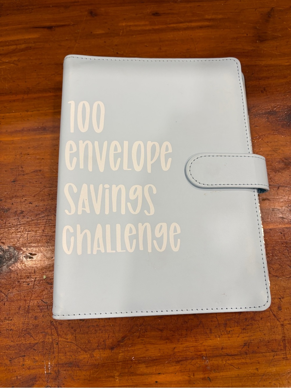 100 Envelope Savings Challenge Book